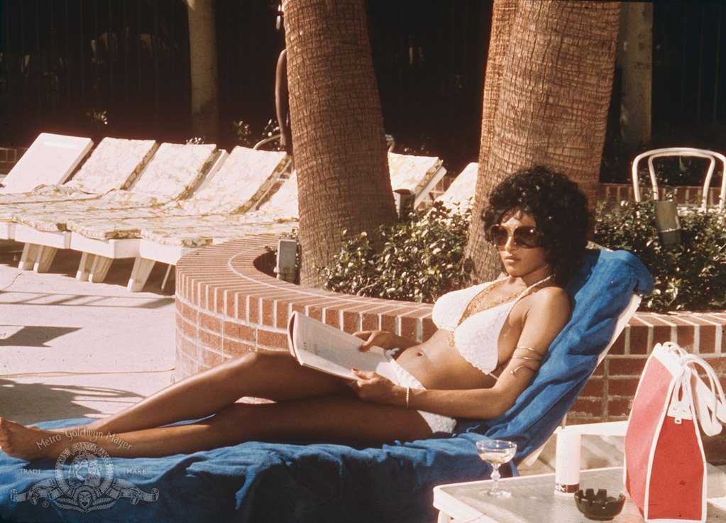 Pam Grier Nude Pictures Which Are Sure To Keep You Charmed With Her