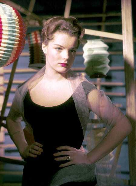 51 Hottest Romy Schneider Bikini Pictures Which Will Shake Your Reality