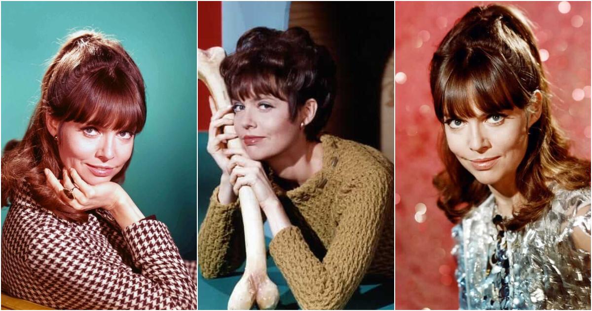 28 Hot Pictures Of Barbara Feldon Will Get Many Heads Turning - The Viraler...