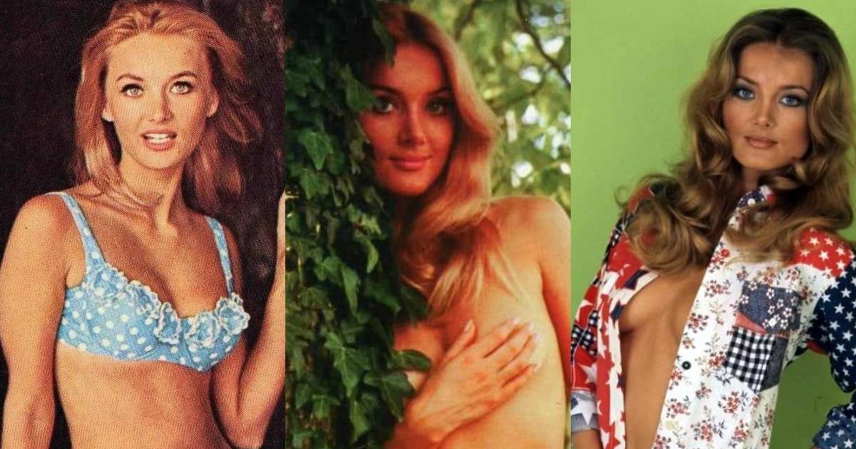 49 Barbara Bouchet Hot Pictures Will Make You Drool Forever