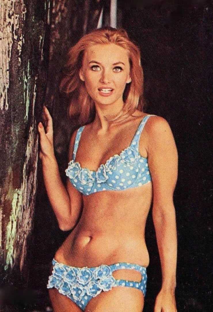 49 Barbara Bouchet Hot Pictures Will Make You Drool Forever | Best Of Comic Books