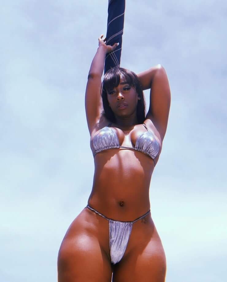 49 Hot Pictures of Bria Miles Will Make You Desire Her Like No Other Thing | Best Of Comic Books
