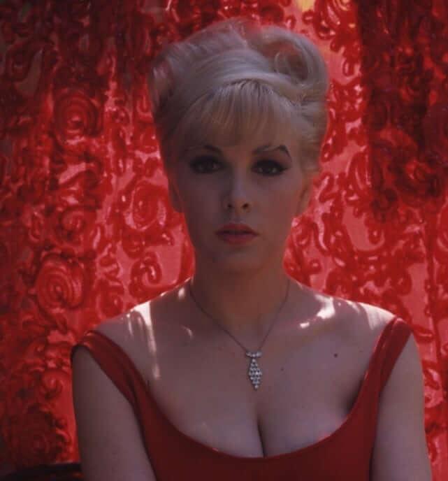 49 Hot Pictures Of Stella Stevens Prove Why American Actresses Are The Sexiest | Best Of Comic Books