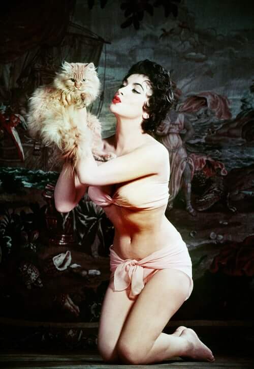 49 Hottest Gina Lollobrigida Bikini Pictures Proves She Is A Shining Light Of Beauty | Best Of Comic Books