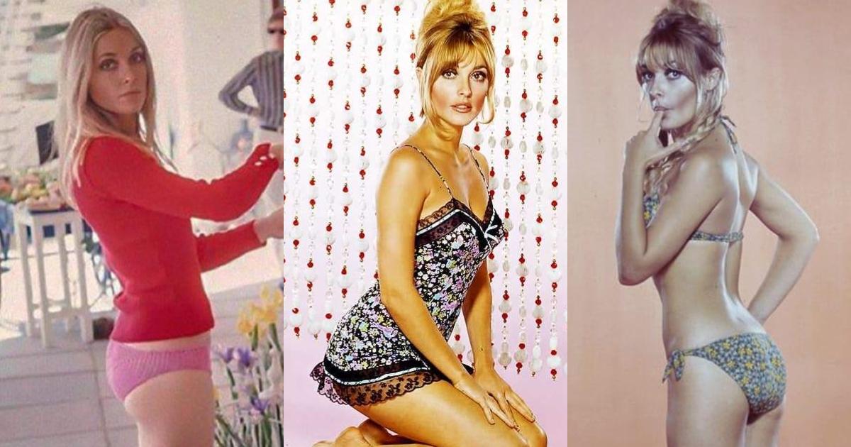 51 Hottest Sharon Tate Big Butt Pictures Are Windows Into Heaven | Best Of Comic Books