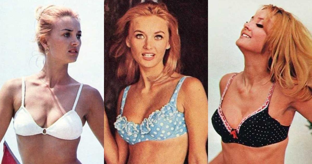 51 Sexy Barbara Bouchet Boobs Pictures Showcase Her Ideally Impressive Figure | Best Of Comic Books