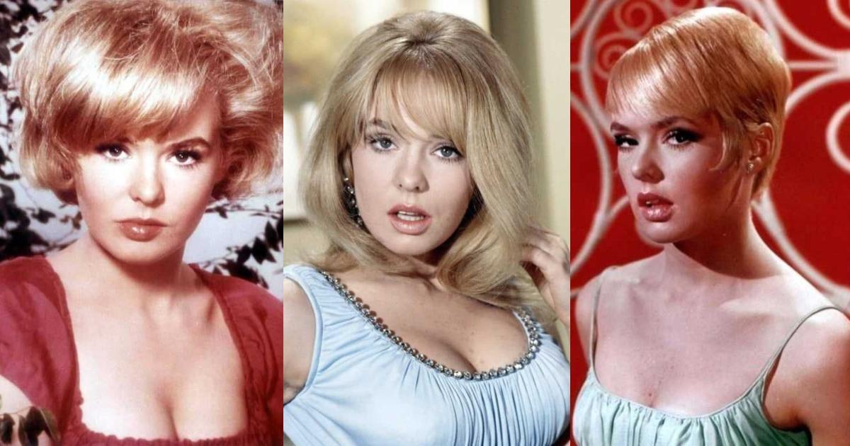 51 Sexy Joey Heatherton Boobs Pictures Are Essentially Attractive | Best Of Comic Books