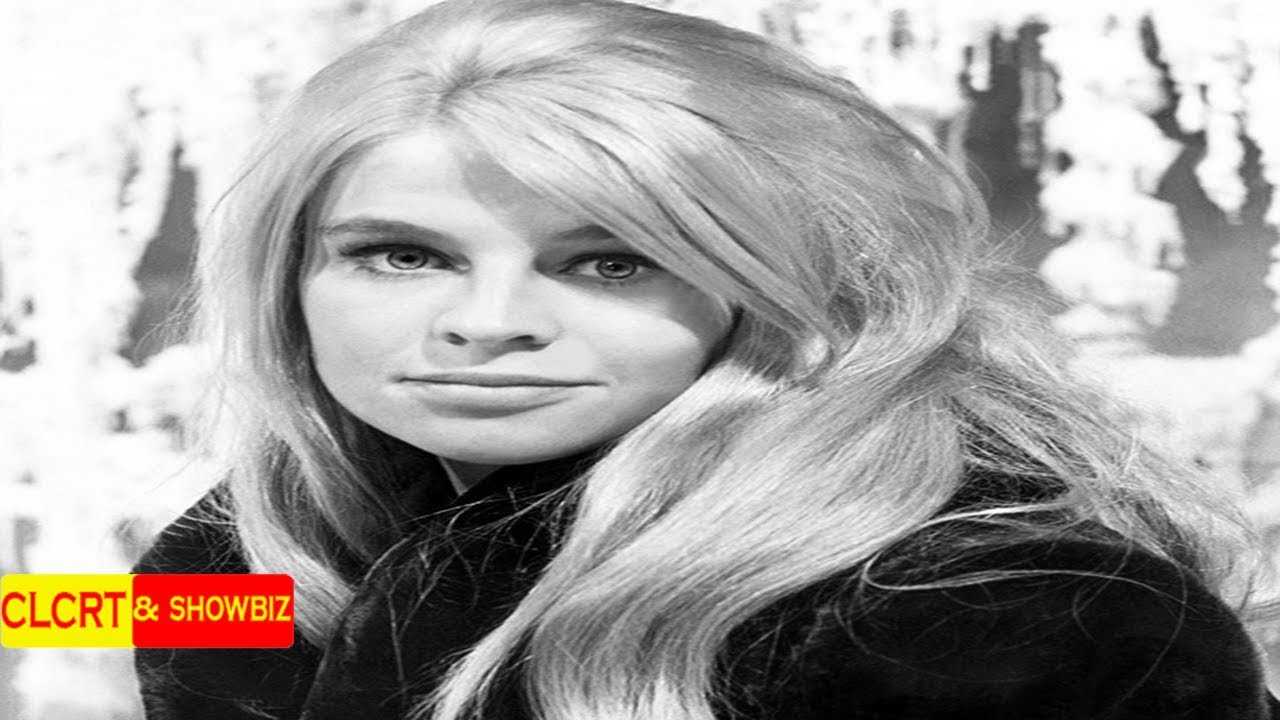 51 Sexy Julie Christie Boobs Pictures Are Essentially Attractive | Best Of Comic Books