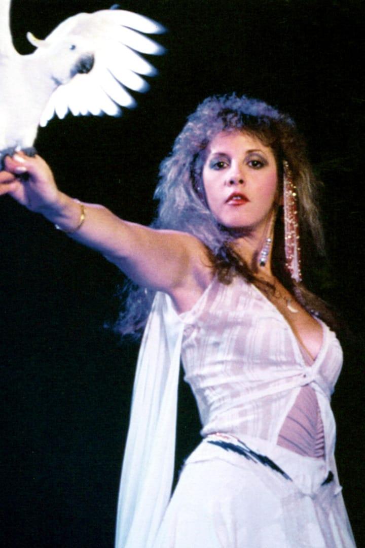 51 Sexy Stevie Nicks Boobs Pictures Which Make Certain To Prevail Upon Your Heart | Best Of Comic Books