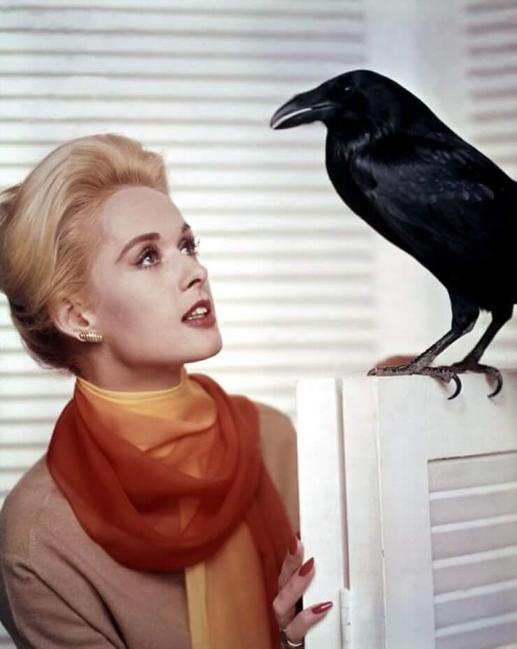 51 Sexy Tippi Hedren Boobs Pictures Are Hot As Hellfire | Best Of Comic Books