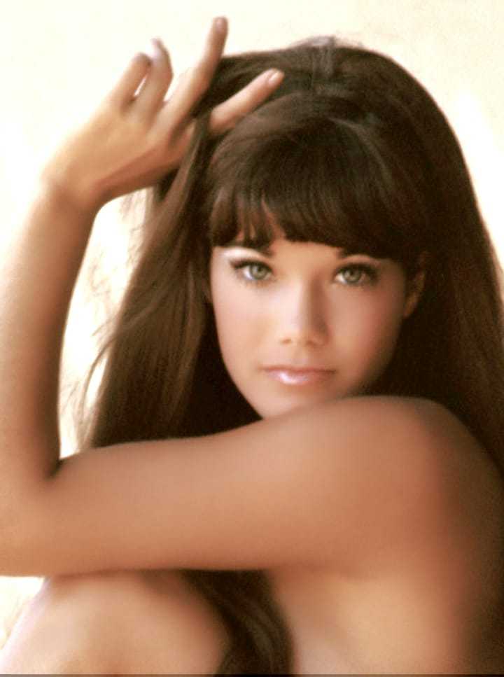 Barbi Benton Hot Pictures Will Drive You Nuts For Her The Viraler