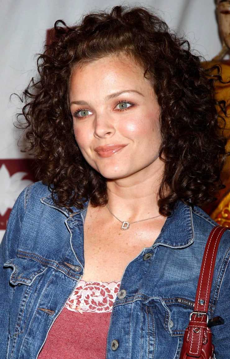 60+ Hottest Dina Meyer Boobs Pictures Will Make You Believe She Has The Perfect Body | Best Of Comic Books