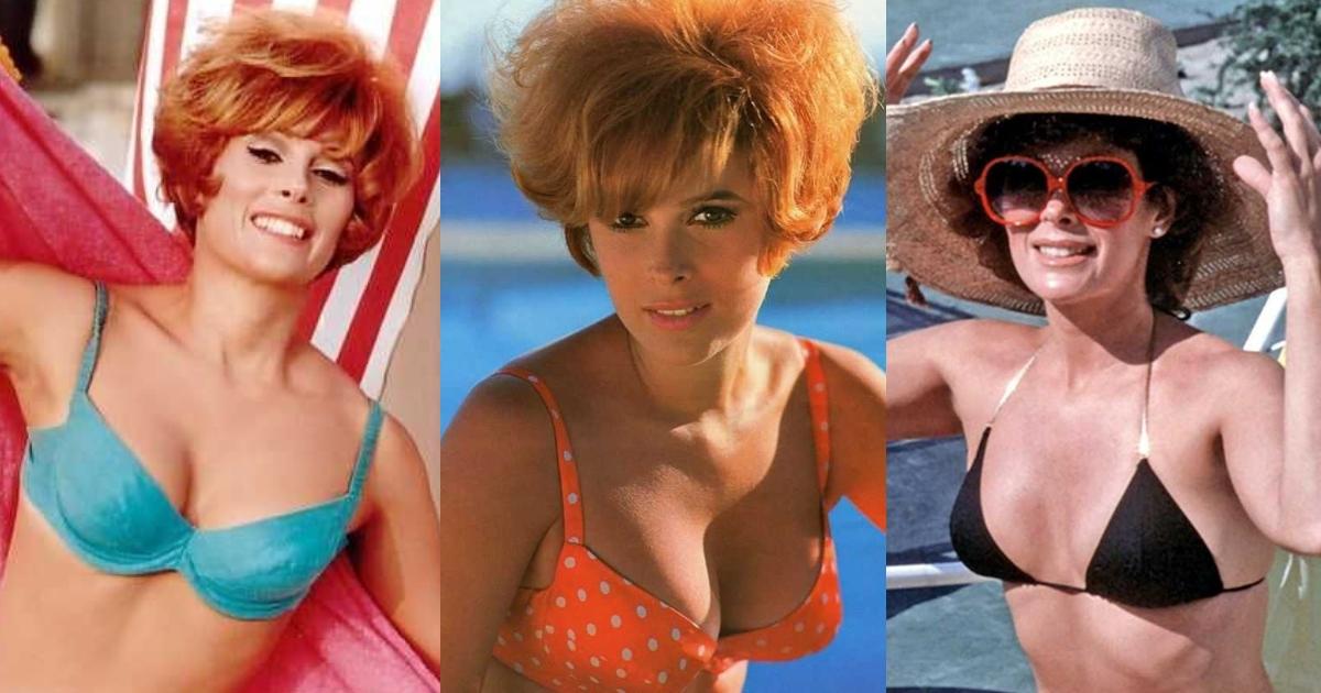 60+ Sexy Jill St. John Boobs Pictures That Will Make Your Heart Pound For Her
