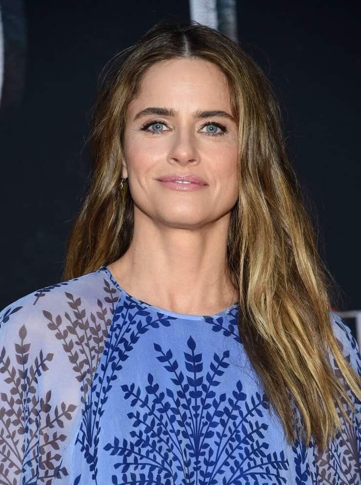 61 Hottest Amanda Peet Boobs Pictures Define The Meaning Of Beauty | Best Of Comic Books