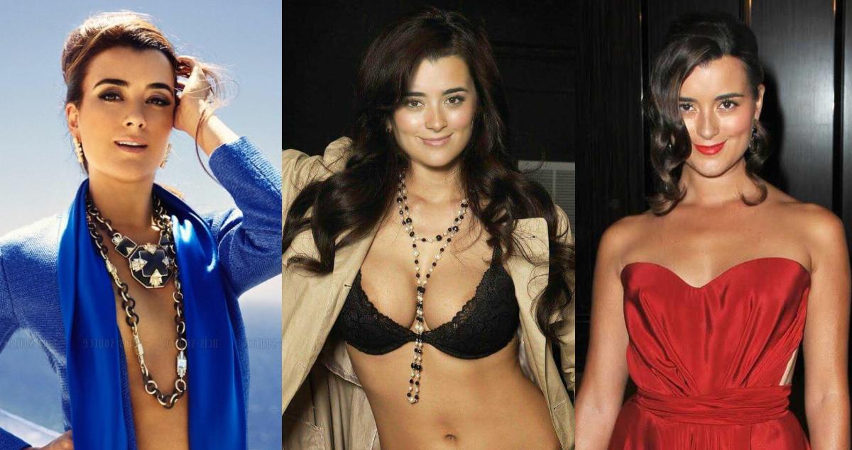 61 Hottest Cote de Pablo Boobs Pictures Are Here To Increase Your Heartbeats | Best Of Comic Books