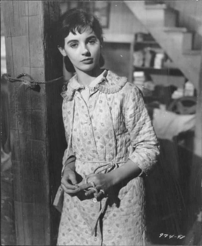32 Millie Perkins Nude Pictures Which Are Sure To Keep You Charmed With Her  Charisma – The Viraler