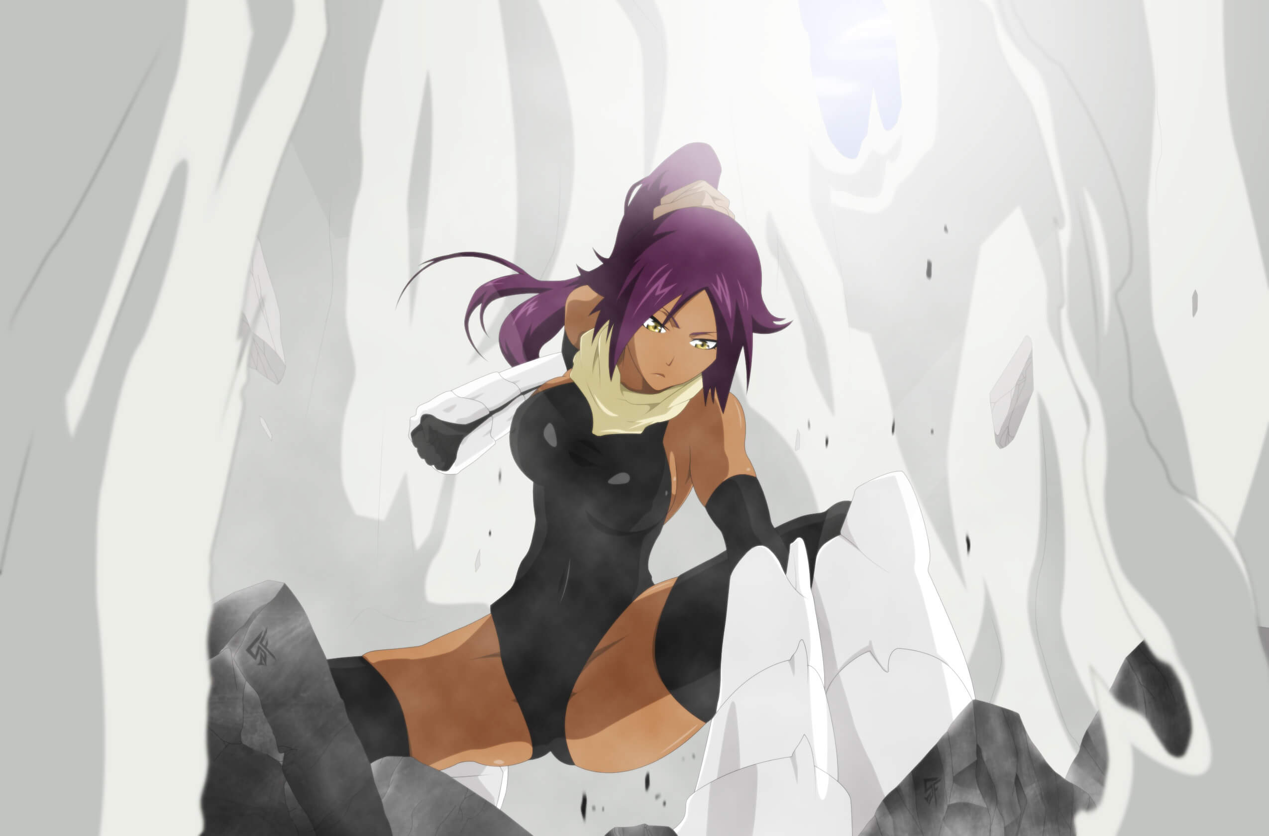 35 Hot Pictures Of Yoruichi Shihouin From The Bleach Anime Which Are Stunningly Ravishing | Best Of Comic Books