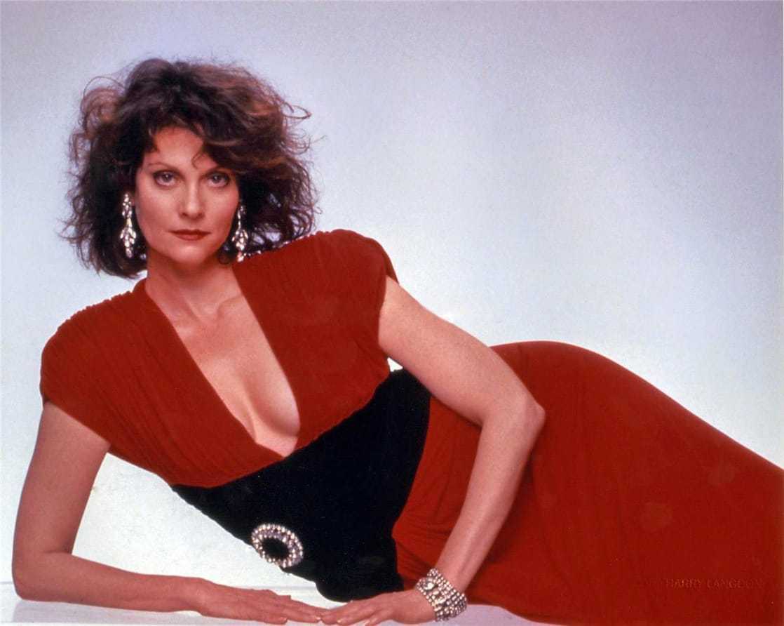 37 Nude Pictures Of Lesley Ann Warren Which Will Cause You To Surrender