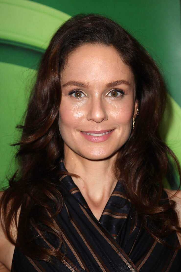 44 Nude Pictures Of Sarah Wayne Callies Showcase Her As A Capable Entertainer | Best Of Comic Books