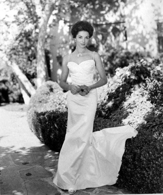 45 Nude Pictures Of Dana Wynter That Will Fill Your Heart With Joy A Success | Best Of Comic Books