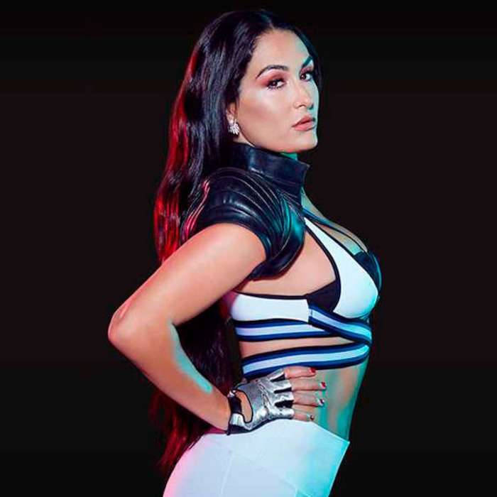 48 Hottest Nikki Bella Bikini Pictures Expose This WWE Diva’s Sexy Body | Best Of Comic Books
