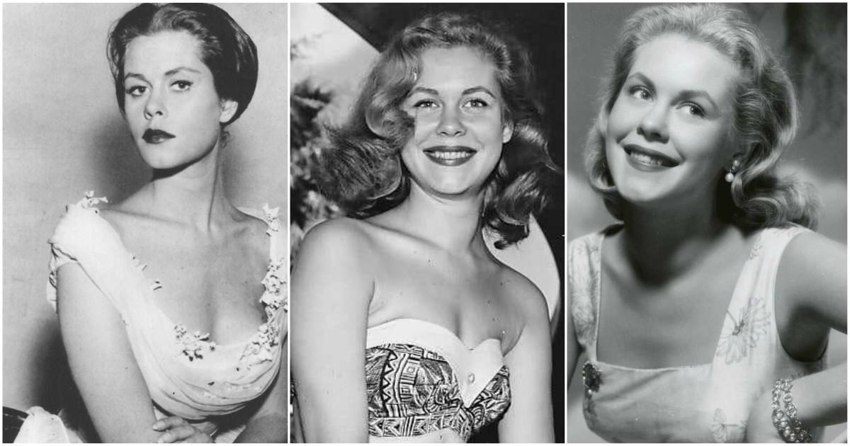 48 Nude Pictures Of Elizabeth Montgomery Which Will Make You Slobber For Her