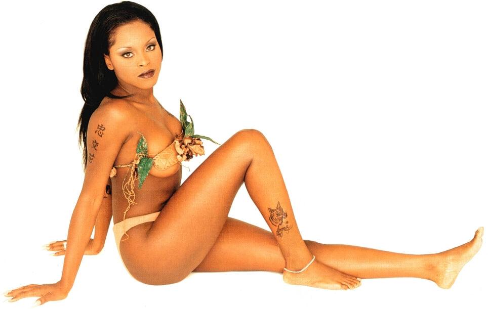 49 Hot Pictures Of Foxy Brown Which Are Sexy As Hell | Best Of Comic Books