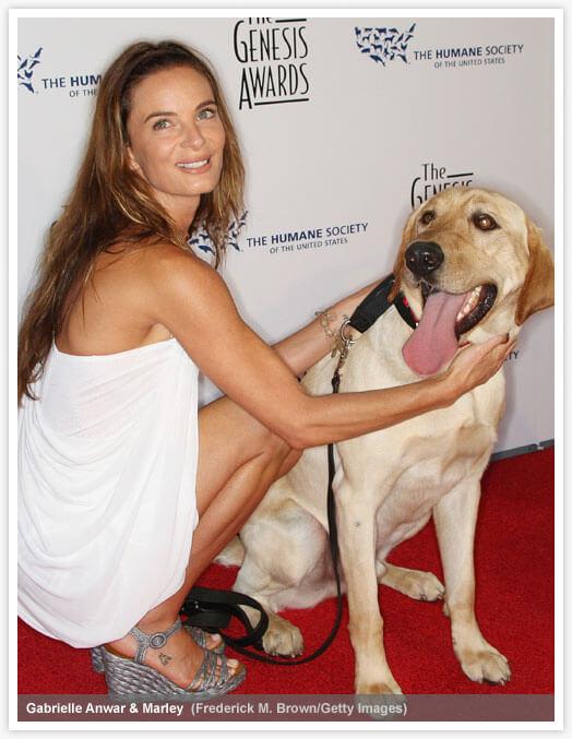 49 Hot Pictures Of Gabrielle Anwar Will Make You Her Biggest Fan | Best Of Comic Books