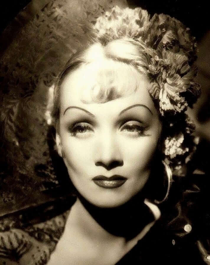 49 Hot Pictures Of Marlene Dietrich Which Will Make You Want To Play ...
