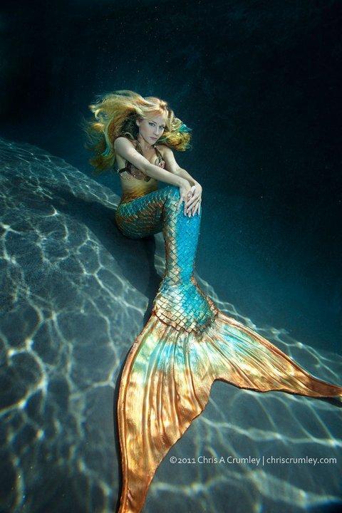 49 Hot Pictures Of Mermaid Will Drive You Nuts For Her | Best Of Comic Books
