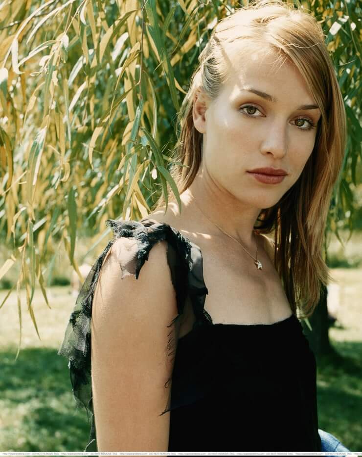49 Hot Pictures Of Piper Perabo Which Will Make You Sweat All Over | Best Of Comic Books