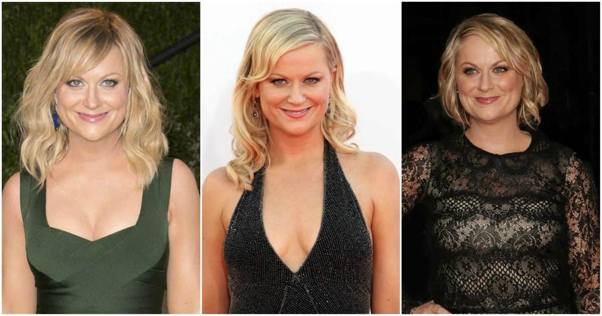 49 Hottest Amy Poehler Big Boobs Pictures Which Make Certain To Leave You Entranced