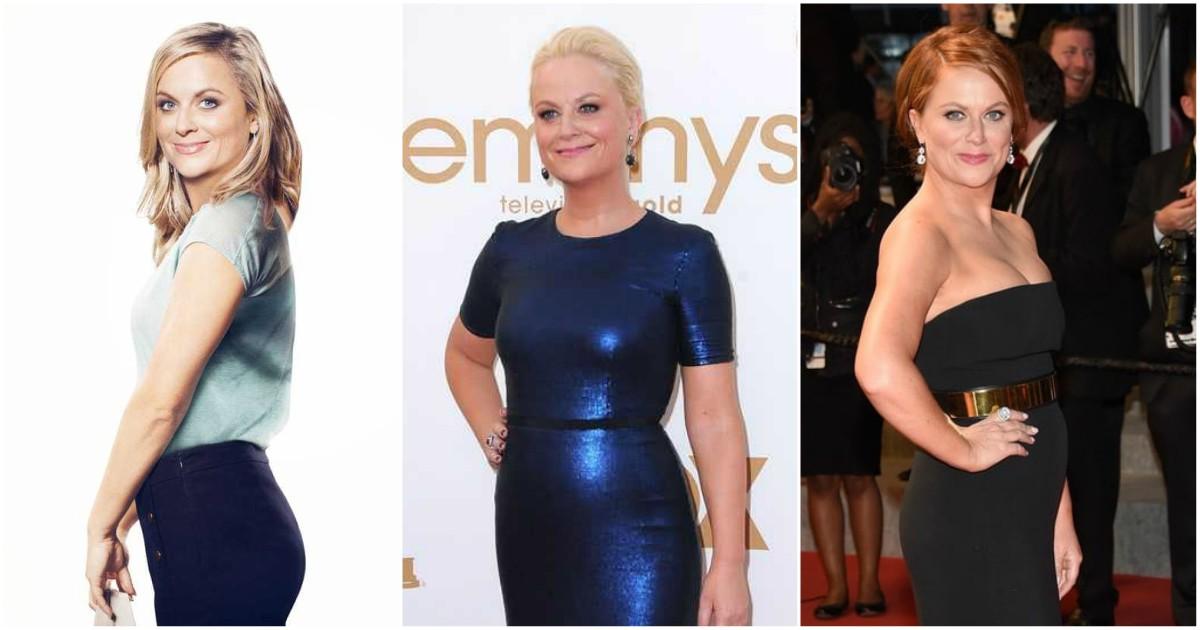49 Hottest Amy Poehler Big Butt Pictures Will Make You Gaze The Screen For Quite A Long Time