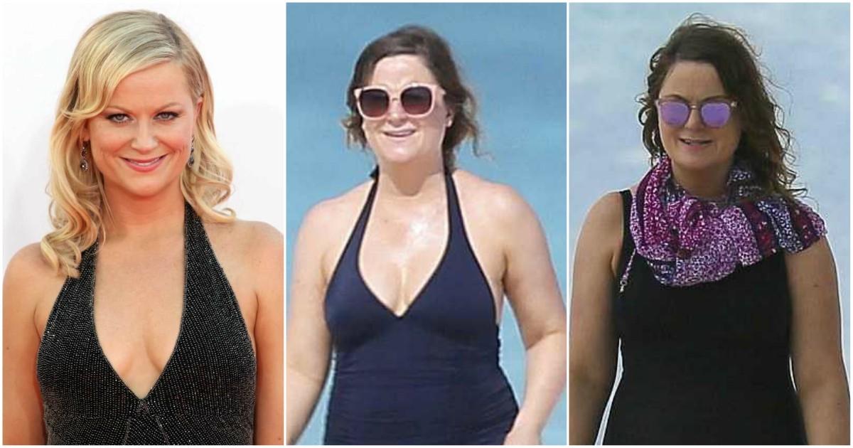 49 Hottest Amy Poehler Bikini Pictures Are A Genuine Masterpiece