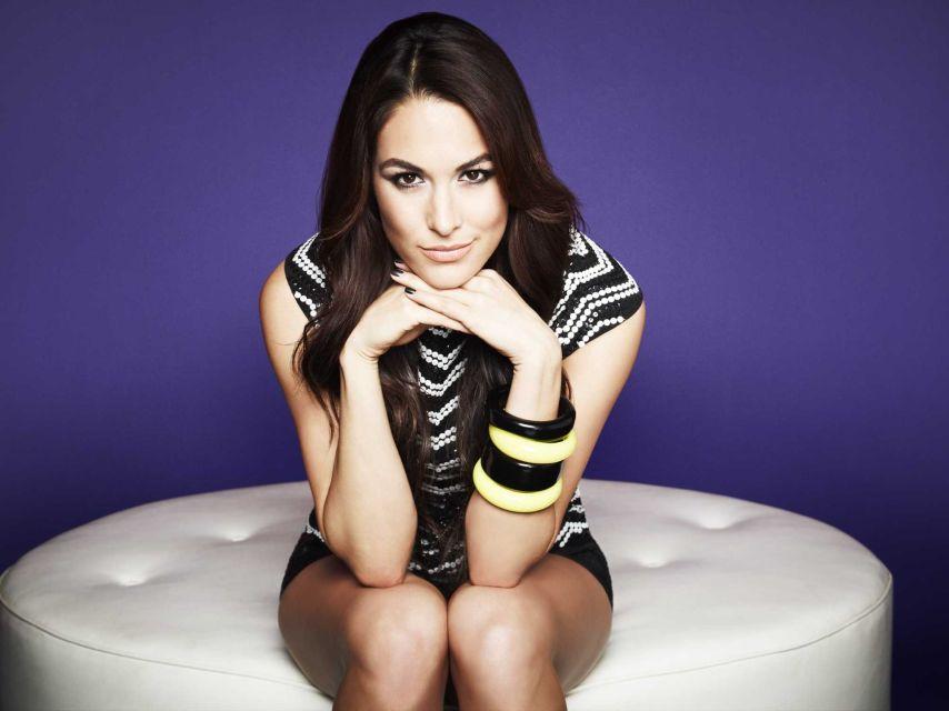 49 Hottest Brie Bella Big Butt Pictures Which Will Drive You Nuts For Her | Best Of Comic Books