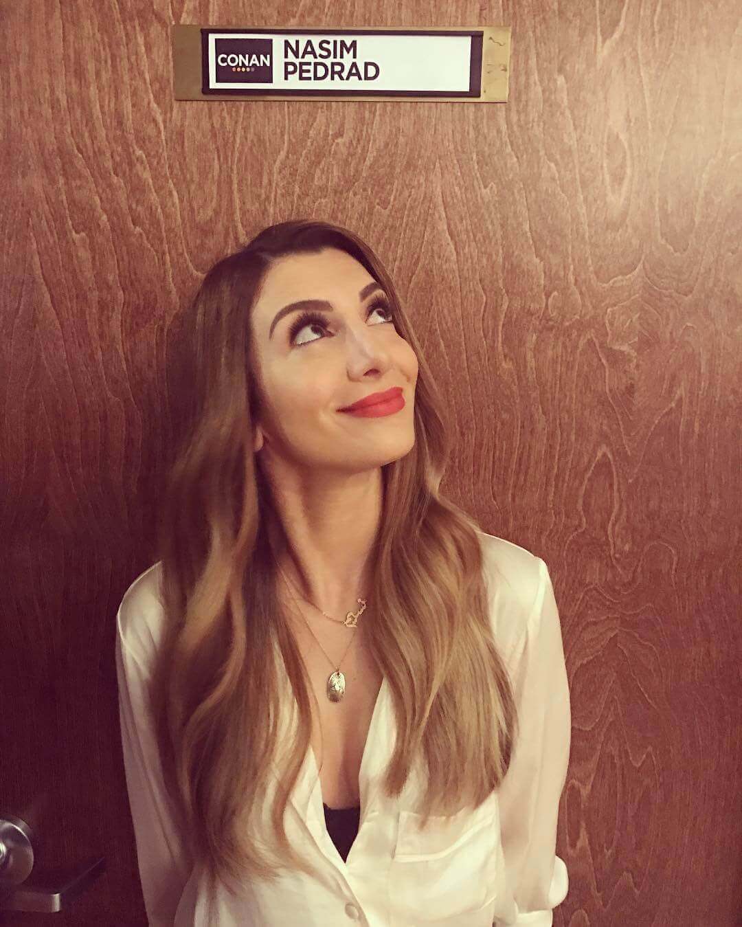 49 Hottest Nasim Pedrad Bikini Pictures That Will Make Your Heart Thump For Her | Best Of Comic Books