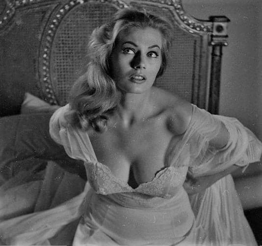 49 Nude Pictures Of Anita Ekberg That Will Fill Your Heart With Joy A Success