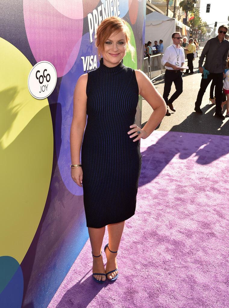 49 Sexy Amy Poehler Feet Pictures Are So Hot That You Will Burn | Best Of Comic Books