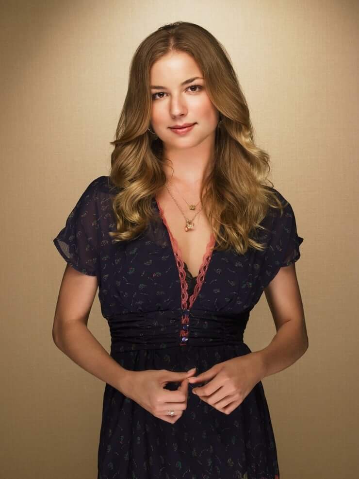 49 Sexy Pictures Of Emily VanCamp Which Will Make Your Hands Want Her | Best Of Comic Books