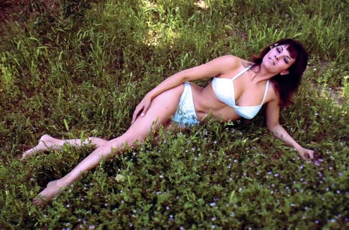 49 Sexy Raquel Welch Feet Pictures Are Too Delicious For All Her Fans | Best Of Comic Books