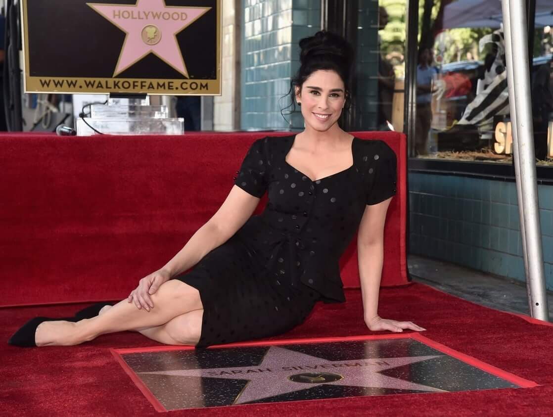 49 Sexy Sarah Silverman Feet Pictures Are So Damn Hot That You Can’t Contain It | Best Of Comic Books