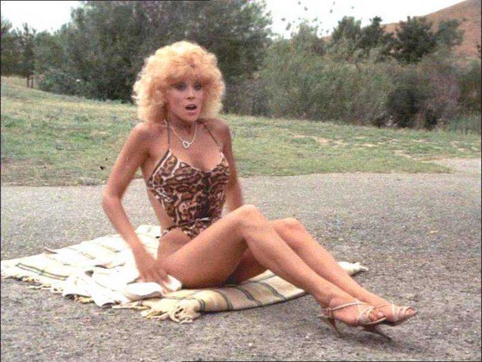 50 Judy Landers Nude Pictures Present Her Polarizing Appeal | Best Of Comic Books