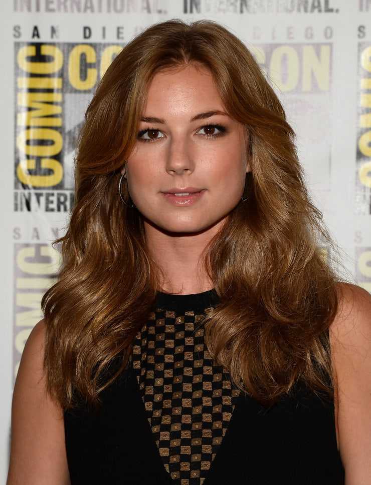 50 Nude Pictures Of Emily VanCamp Which Will Make You Swelter All Over | Best Of Comic Books