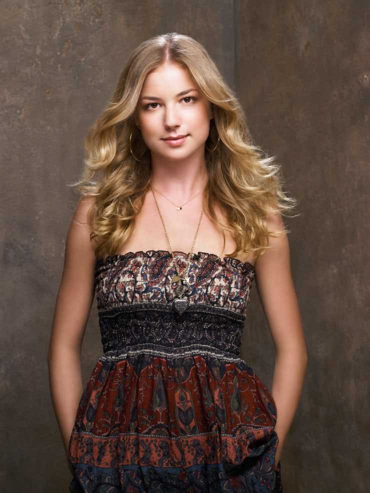 50 Nude Pictures Of Emily VanCamp Which Will Make You Swelter All Over | Best Of Comic Books