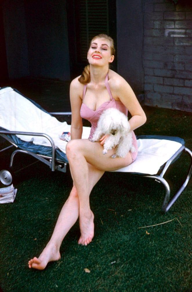51 Hottest Anita Ekberg Bikini Pictures That Are Basically Flawless | Best Of Comic Books