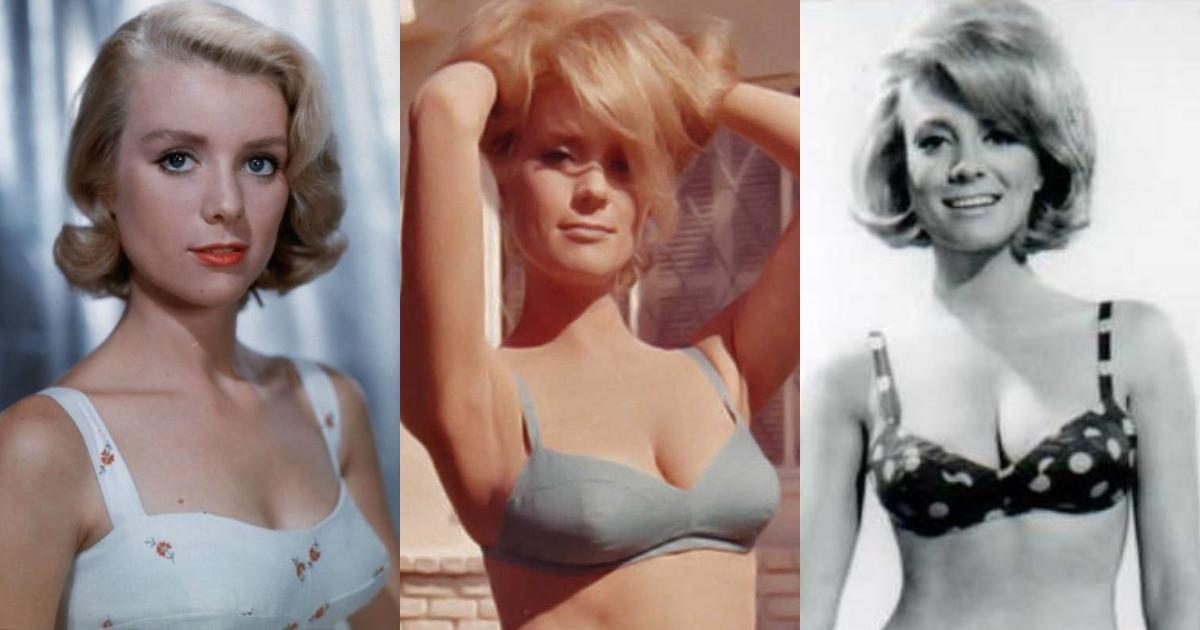 51 Hottest Inger Stevens Bikini Pictures Expose Her Sexy Side | Best Of Comic Books