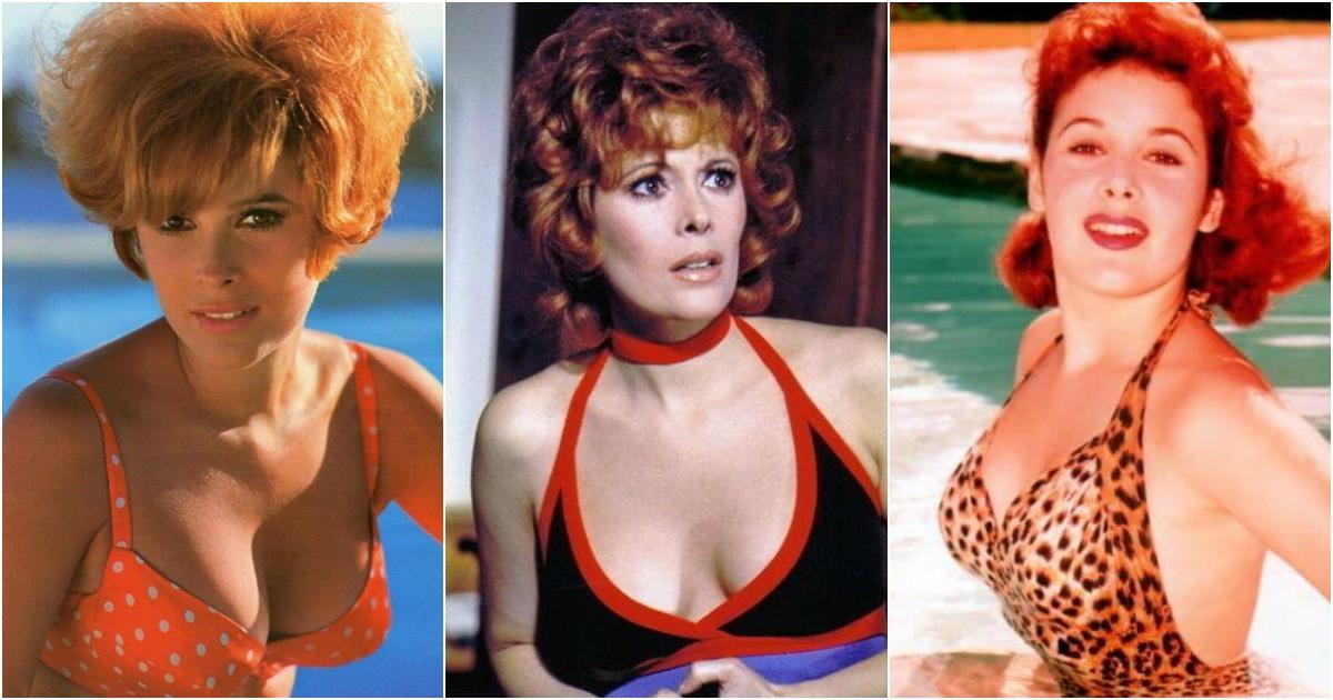 51 Hottest Jill St. John Bikini Pictures Are Truly Entrancing And Wonderful