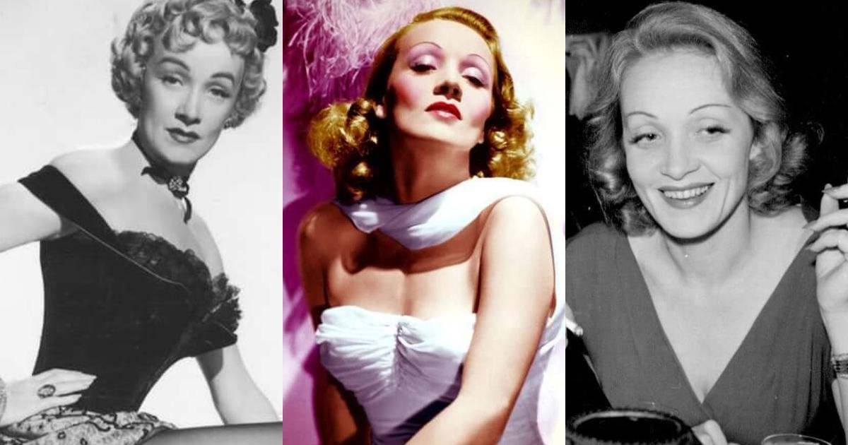 51 Hottest Marlene Dietrich Bikini Pictures That Are Essentially Perfect | Best Of Comic Books