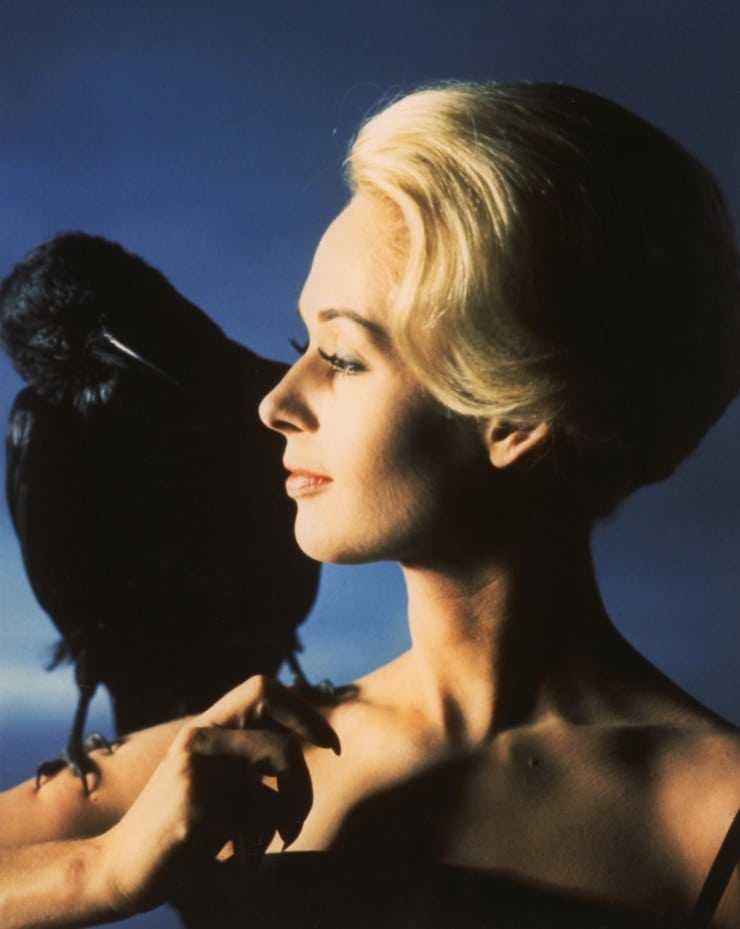 51 Hottest Tippi Hedren Bikini Pictures Are Hot As Hellfire | Best Of Comic Books