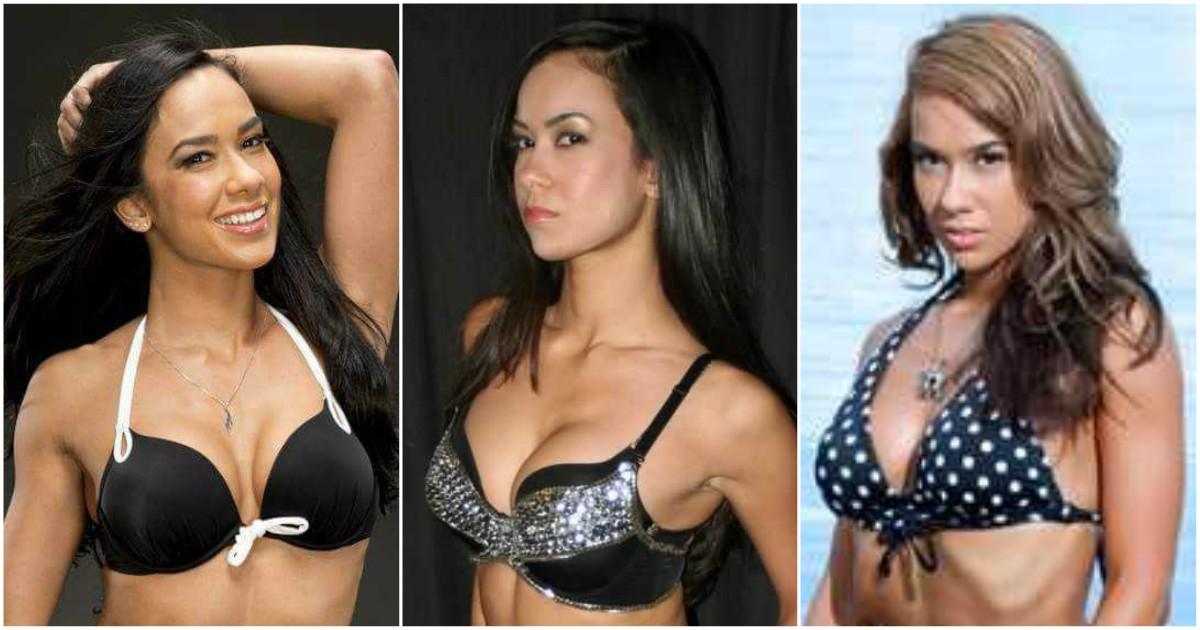 51 Nude Pictures Of AJ Lee Are Simply Excessively Damn Hot